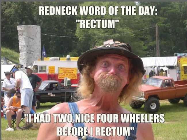 21 hilarious redneck puns and memes 1 photo u2?w=650&q=50&fm=jpg&fit=crop&crop=faces 21 hilarious redneck puns and memes